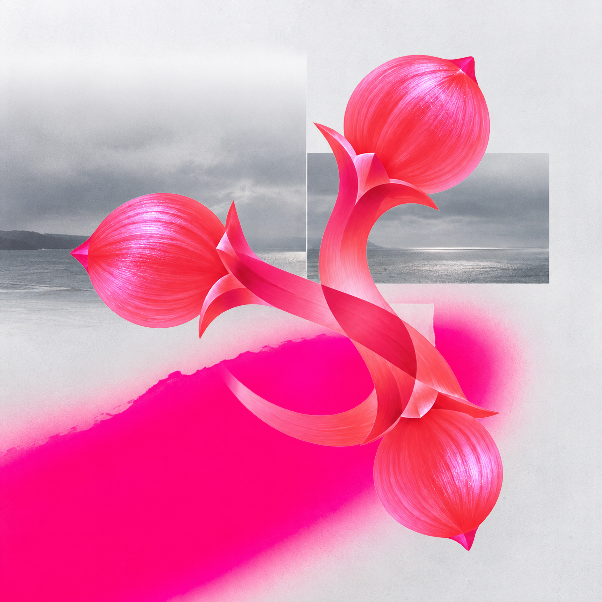 Clove’s luminous pink sculptural cloves against a coastal collage